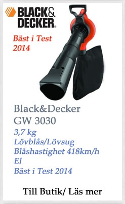 Black Decker GW 3030 lövblås
