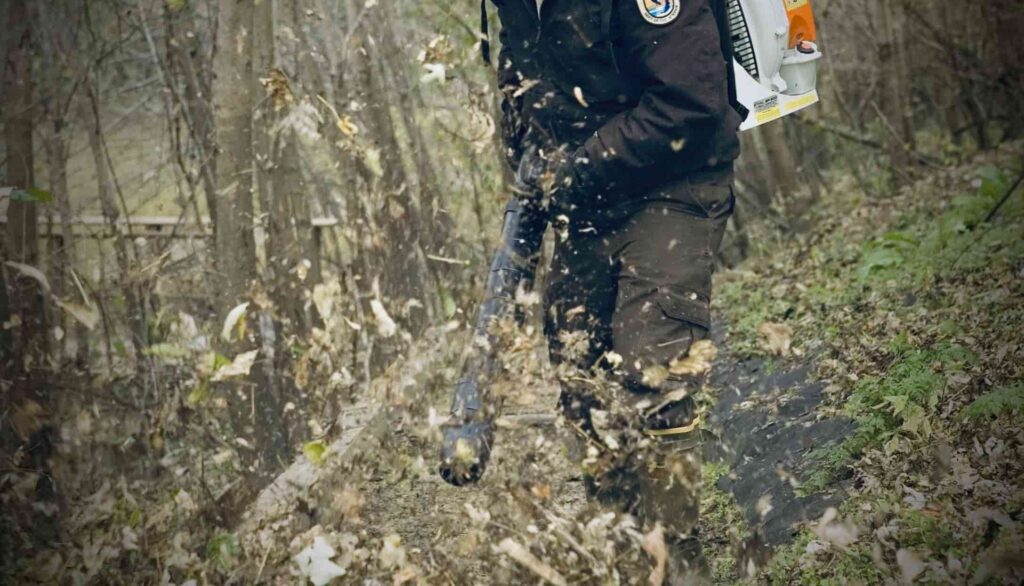 headerbild för lövblås.se